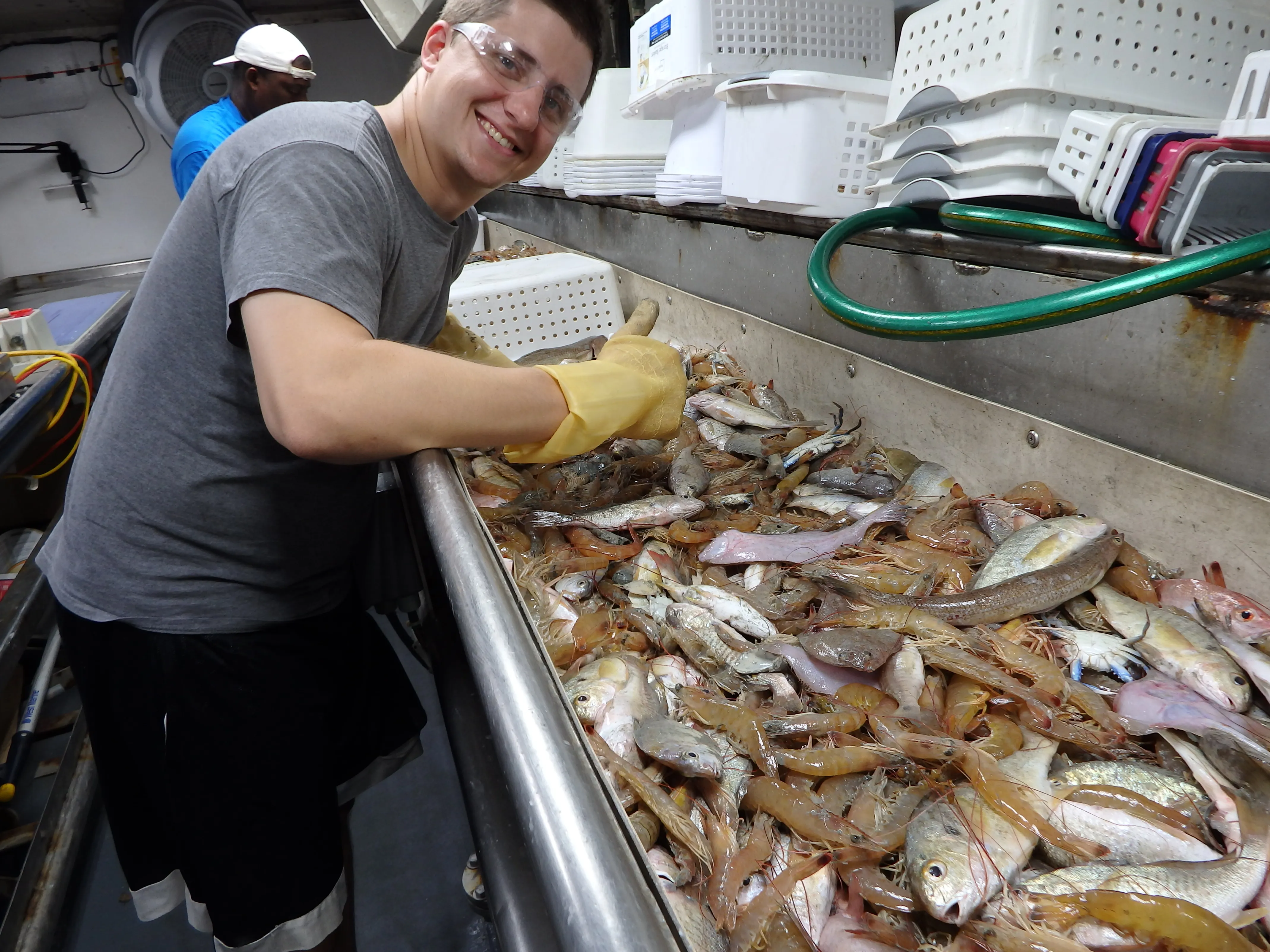 Shrimp Walker